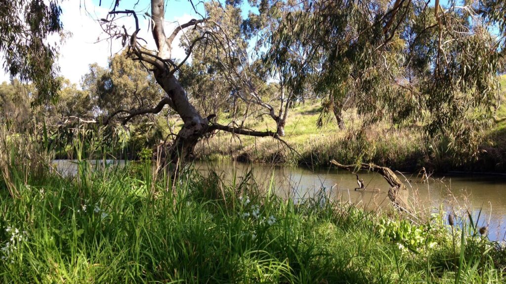 Kororoit Creek at Albion