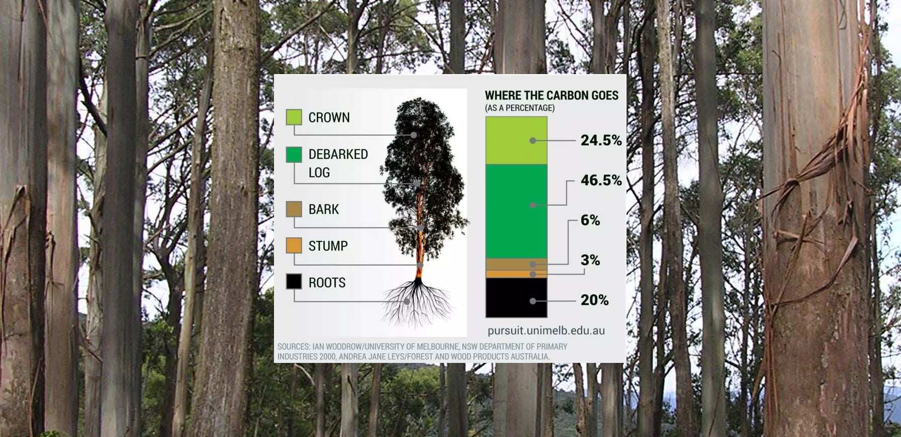 How To Calculate Carbon Storage In Trees