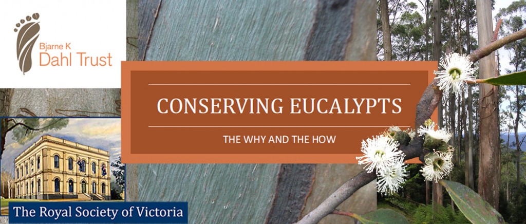 Conserving Eucalypts