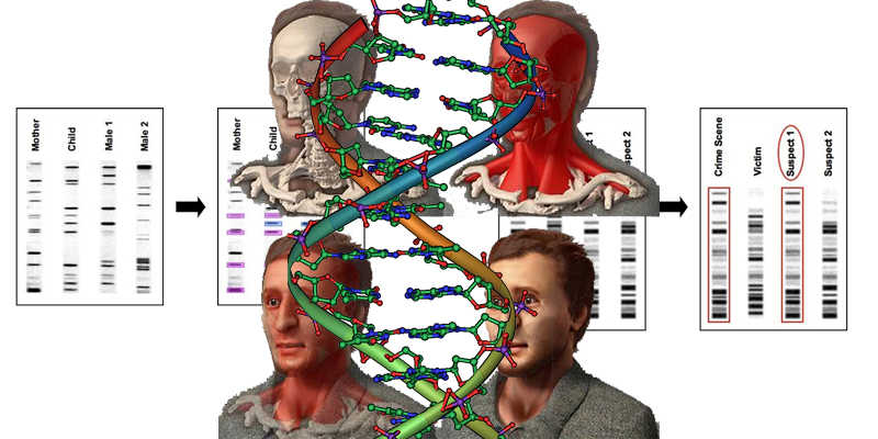 Forensic DNA Profiling Twitter