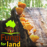 Fungi for Land