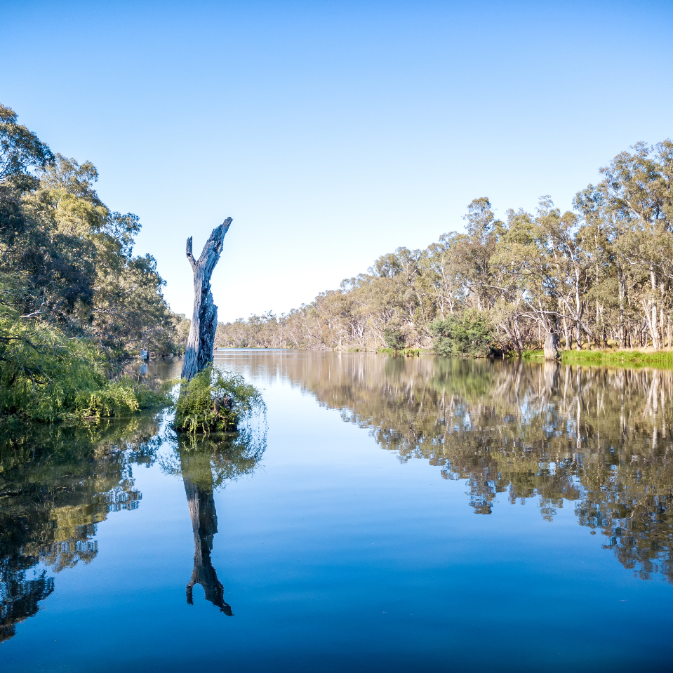 Conservation of the Northern Victorian Floodplains