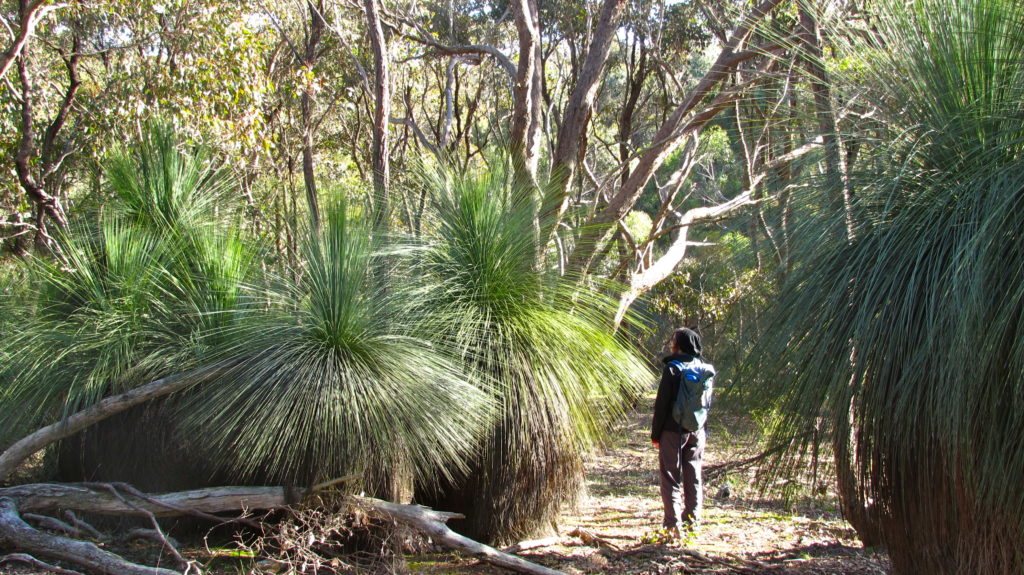 Birchell Trail in the Brisbane Ranges