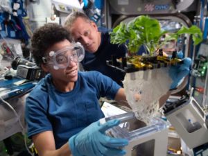 Two astronauts working with a plant in a space station